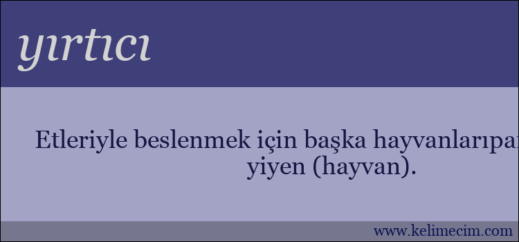 yırtıcı kelimesinin anlamı ne demek?