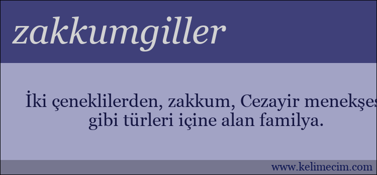 zakkumgiller kelimesinin anlamı ne demek?