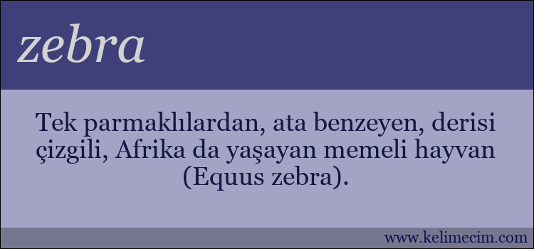 zebra kelimesinin anlamı ne demek?