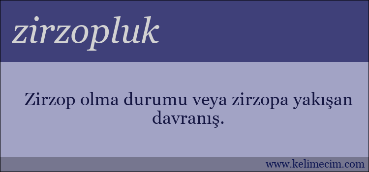 zirzopluk kelimesinin anlamı ne demek?