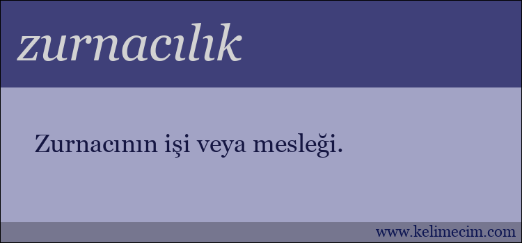 zurnacılık kelimesinin anlamı ne demek?