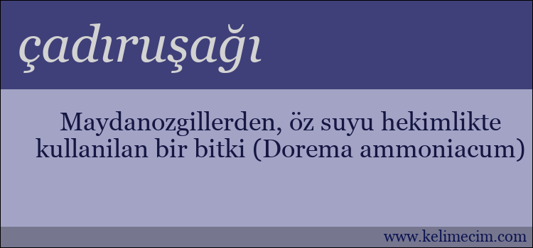 çadıruşağı kelimesinin anlamı ne demek?