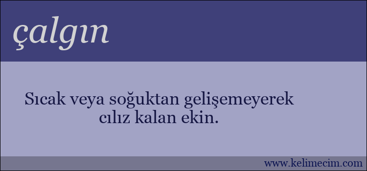 çalgın kelimesinin anlamı ne demek?