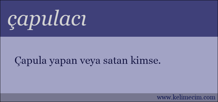 çapulacı kelimesinin anlamı ne demek?