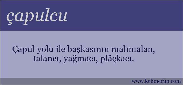 çapulcu kelimesinin anlamı ne demek?