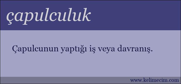 çapulculuk kelimesinin anlamı ne demek?