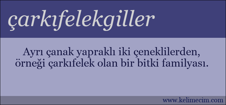 çarkıfelekgiller kelimesinin anlamı ne demek?