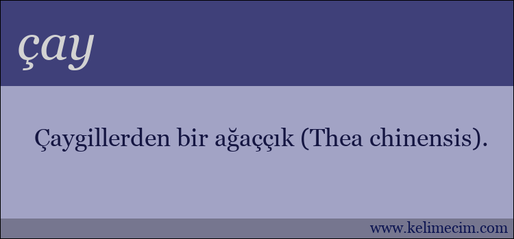 çay kelimesinin anlamı ne demek?