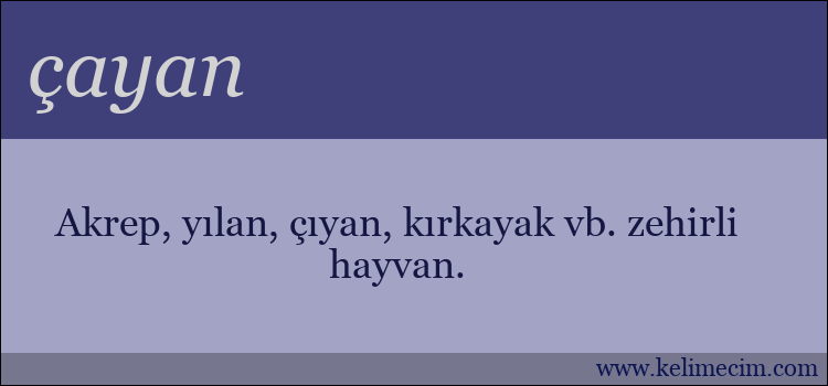 çayan kelimesinin anlamı ne demek?