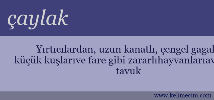 çaylak kelimesinin anlamı ne demek?