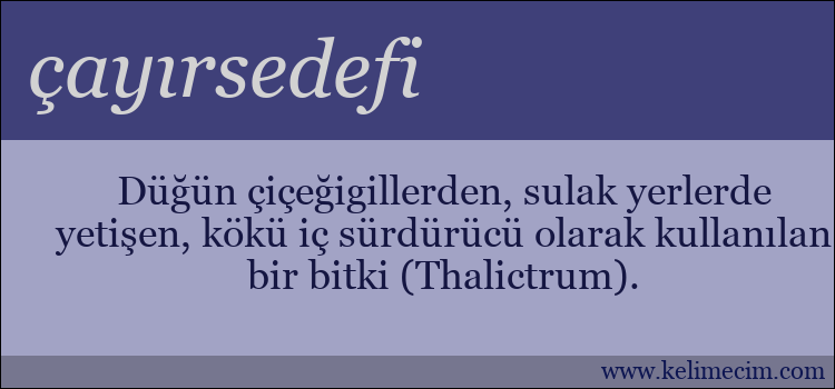 çayırsedefi kelimesinin anlamı ne demek?