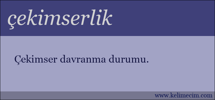 çekimserlik kelimesinin anlamı ne demek?