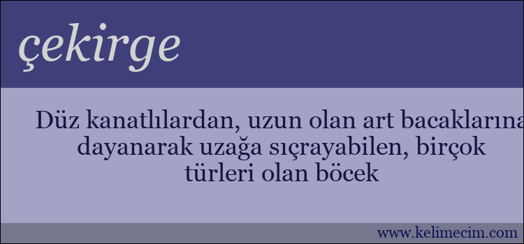 çekirge kelimesinin anlamı ne demek?