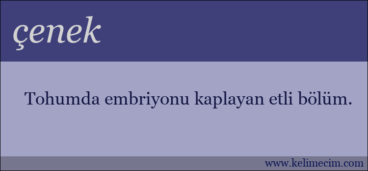 çenek kelimesinin anlamı ne demek?