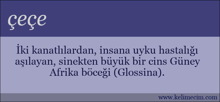 çeçe kelimesinin anlamı ne demek?