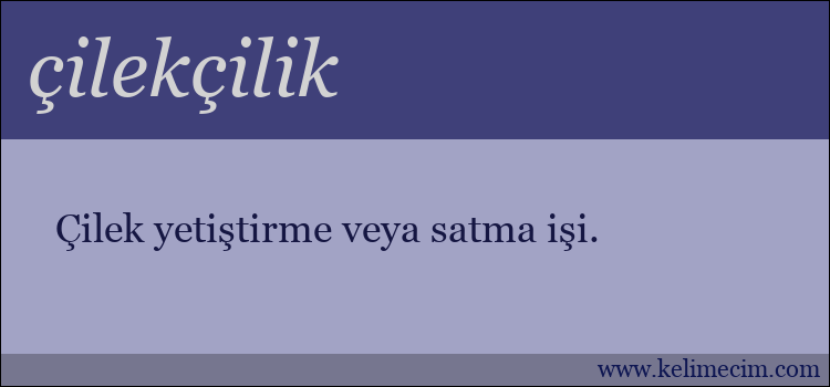 çilekçilik kelimesinin anlamı ne demek?