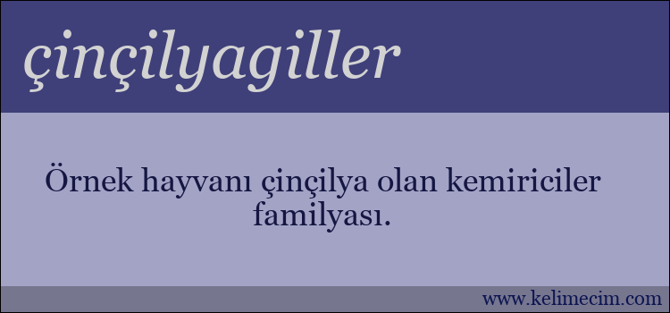 çinçilyagiller kelimesinin anlamı ne demek?