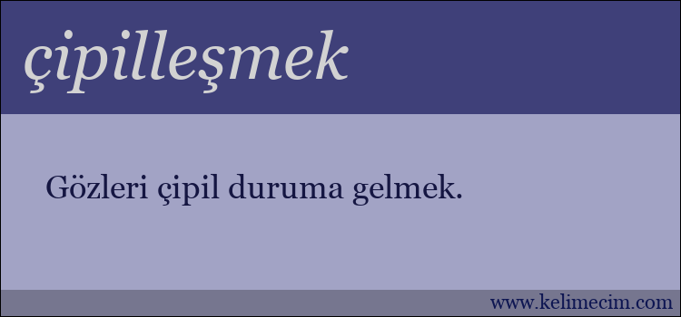 çipilleşmek kelimesinin anlamı ne demek?