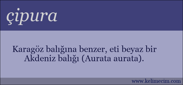 çipura kelimesinin anlamı ne demek?