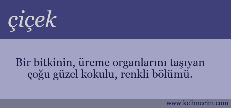 çiçek kelimesinin anlamı ne demek?