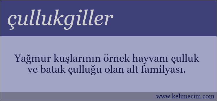 çullukgiller kelimesinin anlamı ne demek?