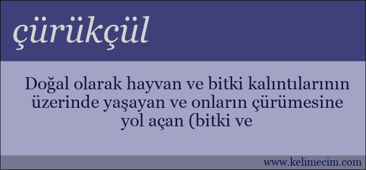 çürükçül kelimesinin anlamı ne demek?