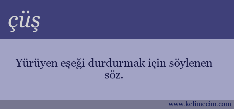 çüş kelimesinin anlamı ne demek?