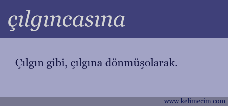 çılgıncasına kelimesinin anlamı ne demek?