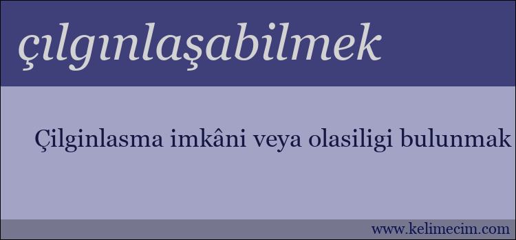 çılgınlaşabilmek kelimesinin anlamı ne demek?