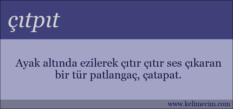 çıtpıt kelimesinin anlamı ne demek?