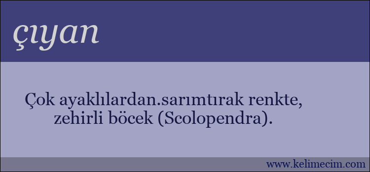 çıyan kelimesinin anlamı ne demek?