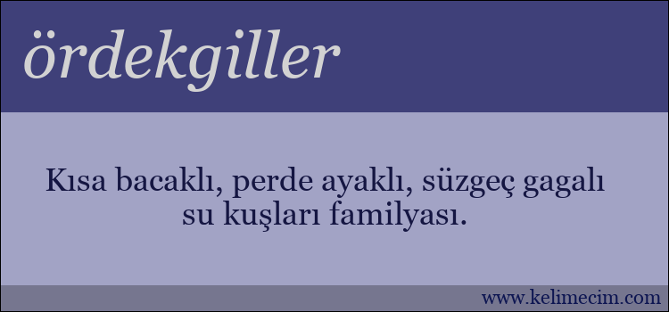 ördekgiller kelimesinin anlamı ne demek?