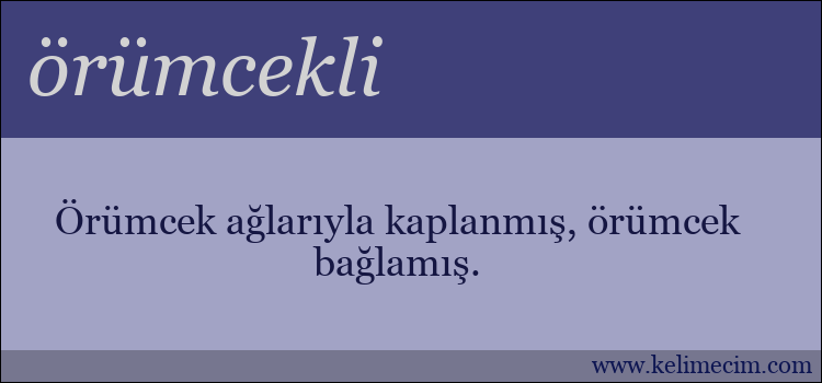 örümcekli kelimesinin anlamı ne demek?