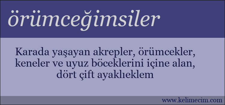 örümceğimsiler kelimesinin anlamı ne demek?