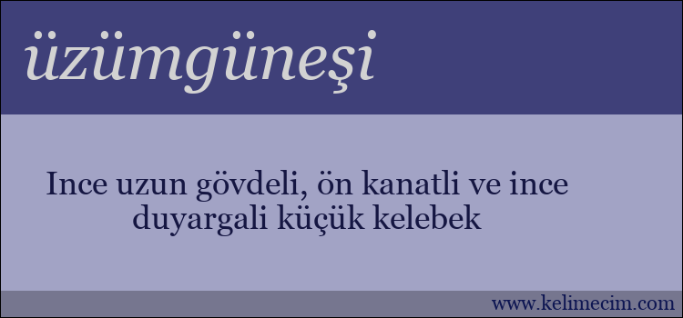 üzümgüneşi kelimesinin anlamı ne demek?