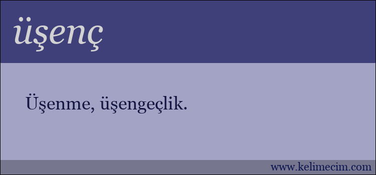 üşenç kelimesinin anlamı ne demek?