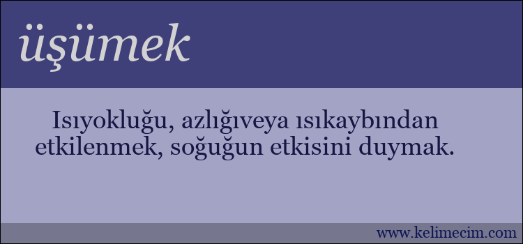 üşümek kelimesinin anlamı ne demek?