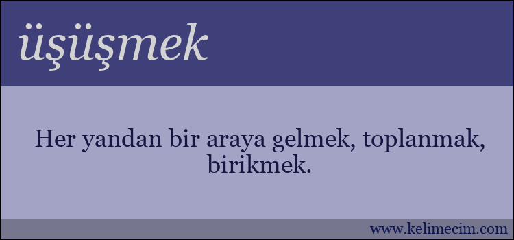 üşüşmek kelimesinin anlamı ne demek?