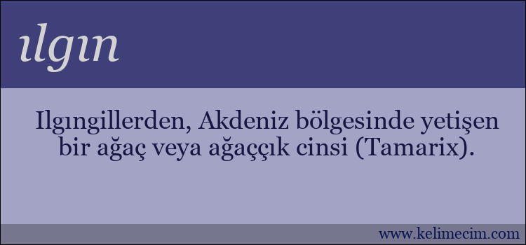 ılgın kelimesinin anlamı ne demek?