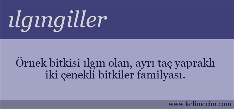 ılgıngiller kelimesinin anlamı ne demek?