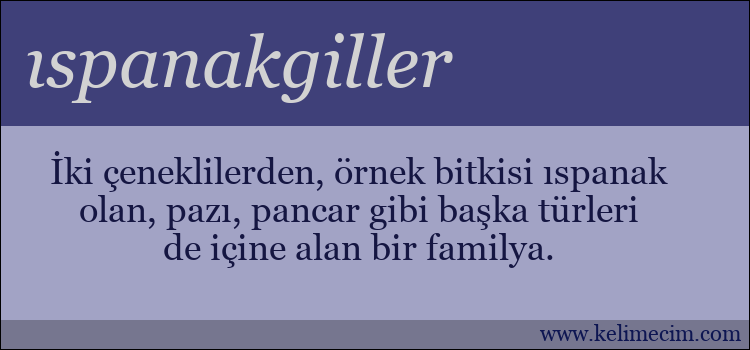 ıspanakgiller kelimesinin anlamı ne demek?