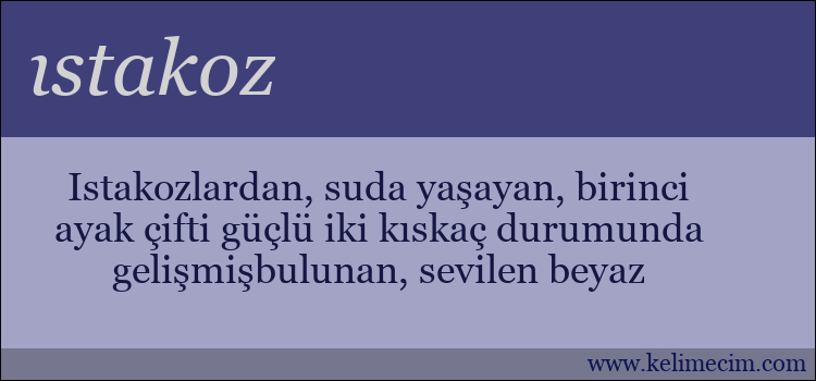 ıstakoz kelimesinin anlamı ne demek?