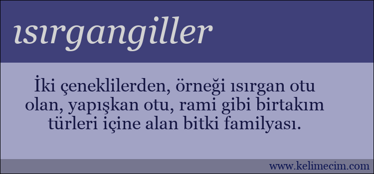 ısırgangiller kelimesinin anlamı ne demek?