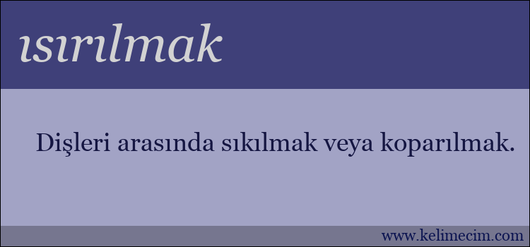 ısırılmak kelimesinin anlamı ne demek?