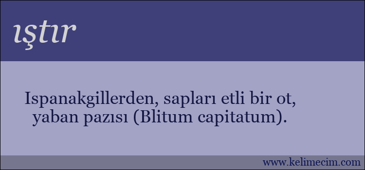 ıştır kelimesinin anlamı ne demek?