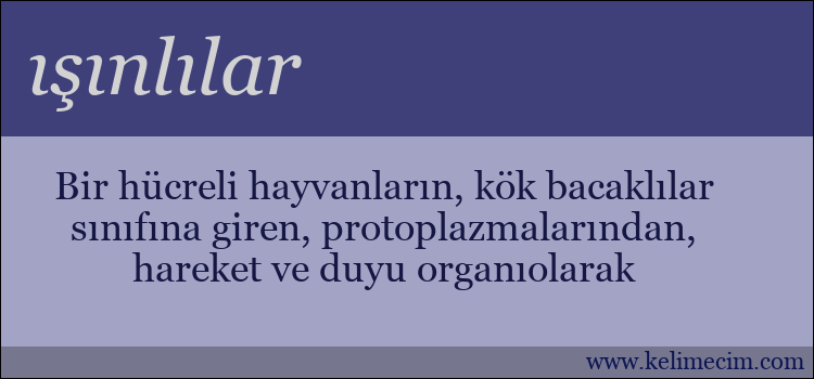 ışınlılar kelimesinin anlamı ne demek?