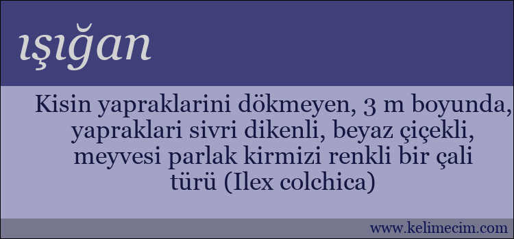 ışığan kelimesinin anlamı ne demek?