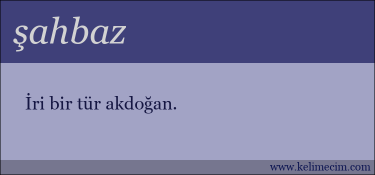 şahbaz kelimesinin anlamı ne demek?