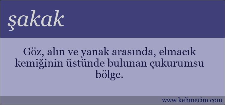 şakak kelimesinin anlamı ne demek?