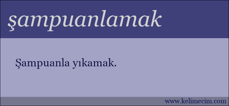 şampuanlamak kelimesinin anlamı ne demek?